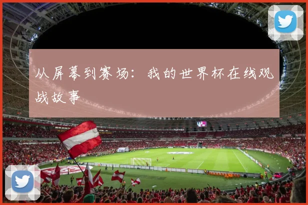 从屏幕到赛场:我的世界杯在线观战故事