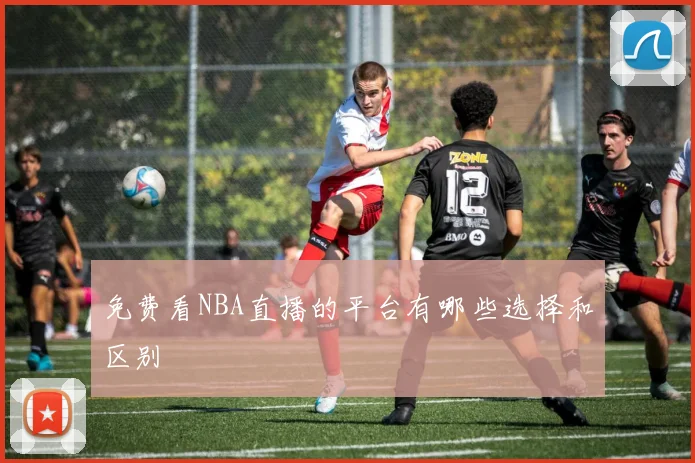 免费看NBA直播的平台有哪些选择和区别