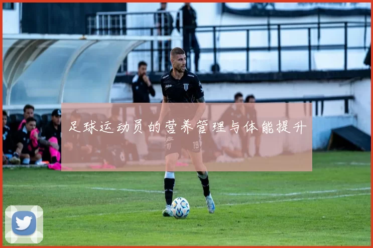 足球运动员的营养管理与体能提升