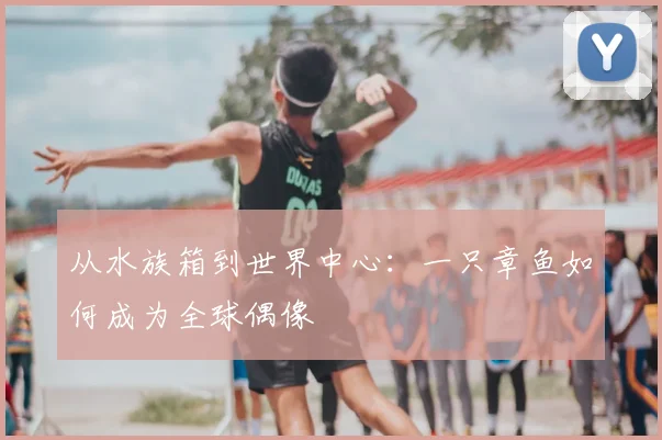 从水族箱到世界中心：一只章鱼如何成为全球偶像