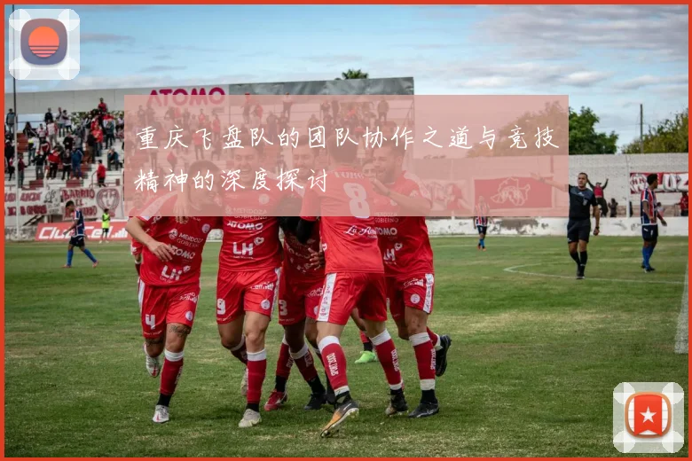 重庆飞盘队的团队协作之道与竞技精神的深度探讨