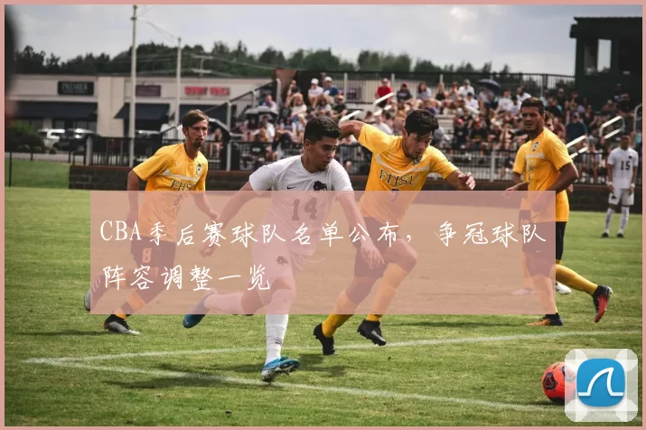 CBA季后赛球队名单公布，争冠球队阵容调整一览