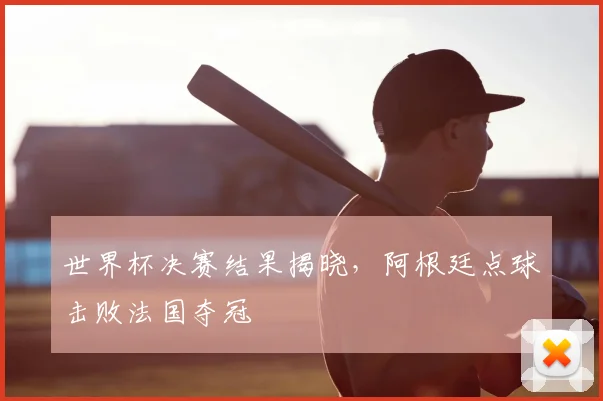 世界杯决赛结果揭晓,阿根廷点球击败法国夺冠