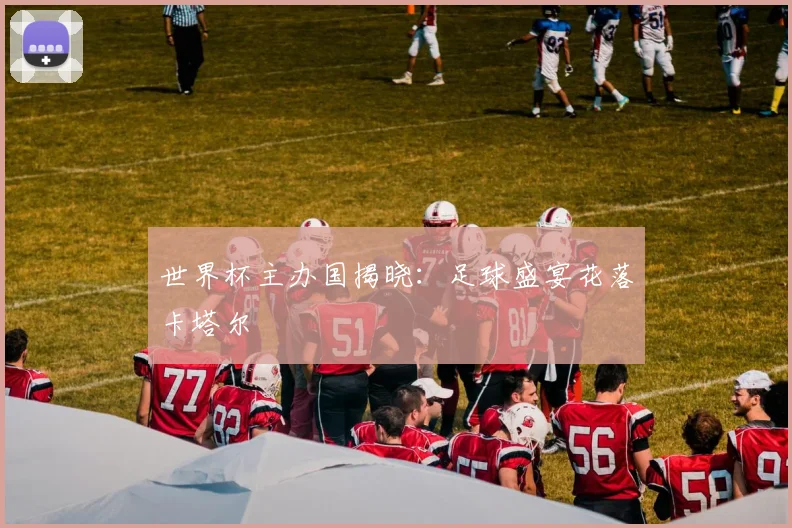 世界杯主办国揭晓:足球盛宴花落卡塔尔