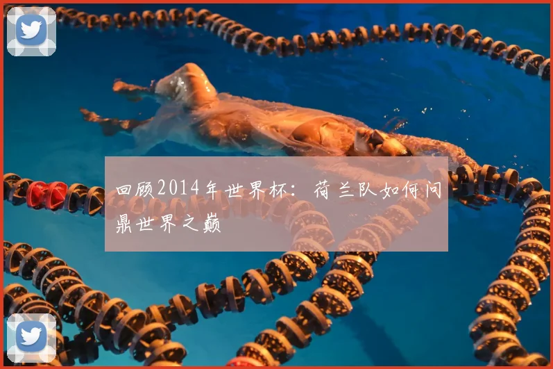 回顾2014年世界杯:荷兰队如何问鼎世界之巅